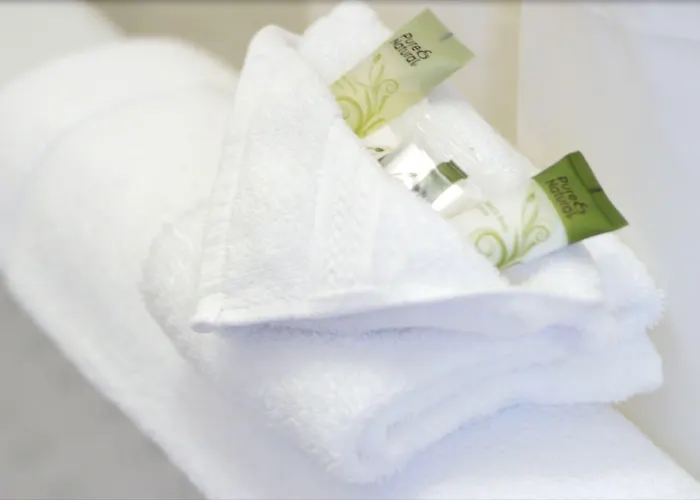 Hotel Historic Plains 3*